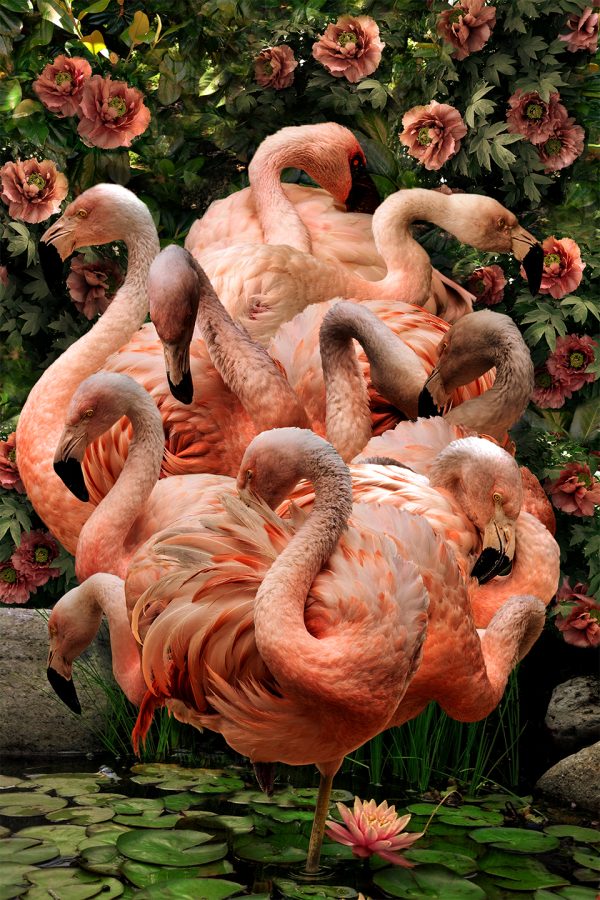 THE GATHERING