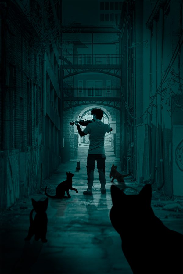 ALLEY CATS